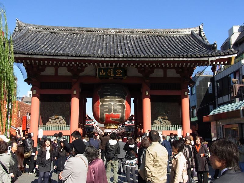 Tokyo City, Meiji Shrine & Skytree Bus Tour with Cruise - Lunch, fried chicken and Uji matcha
