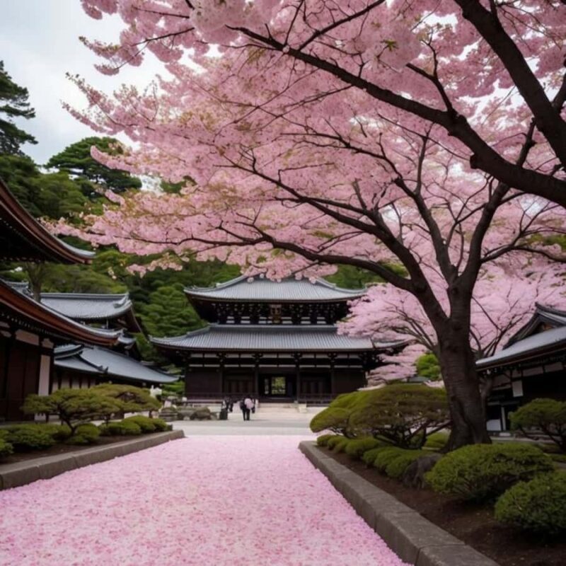 Tokyo City Must See Private Tour Sightseeing Full Customised - An In-Depth Look at the Tokyo Private Tour