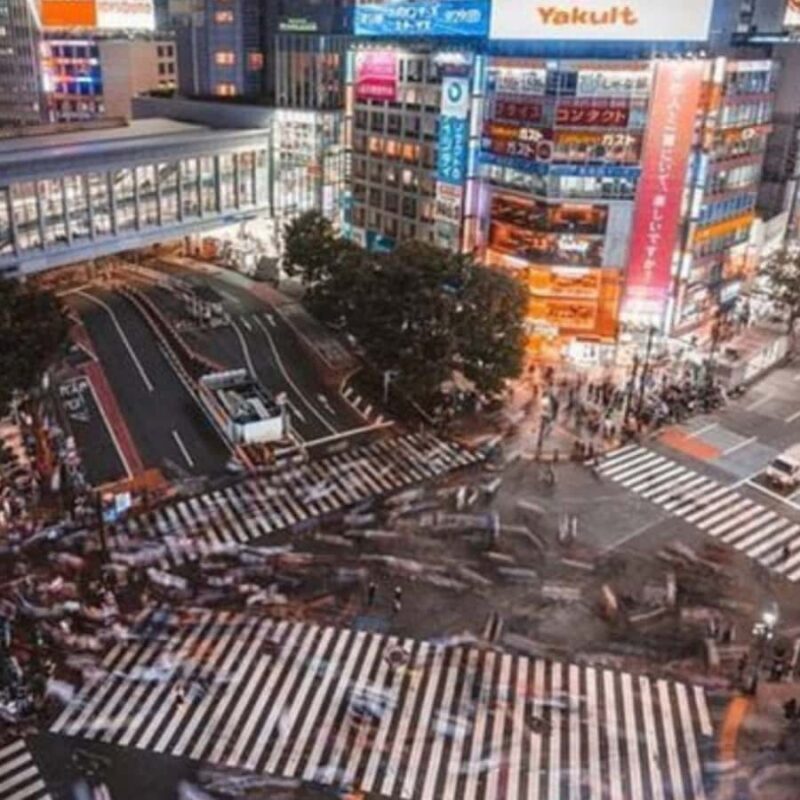 Tokyo City Must See Private Tour Sightseeing Full Customised - Wrapping Up the Day