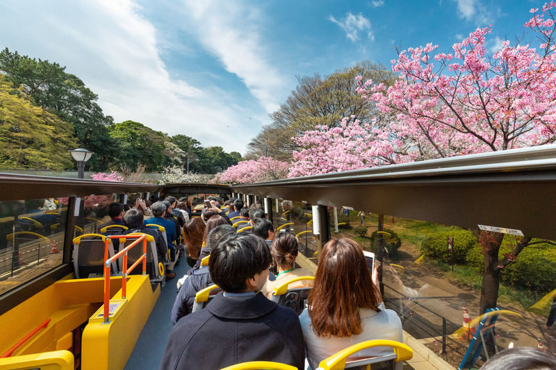 Tokyo City, Open Top Bus Sightseeing Trip - What to know before you book