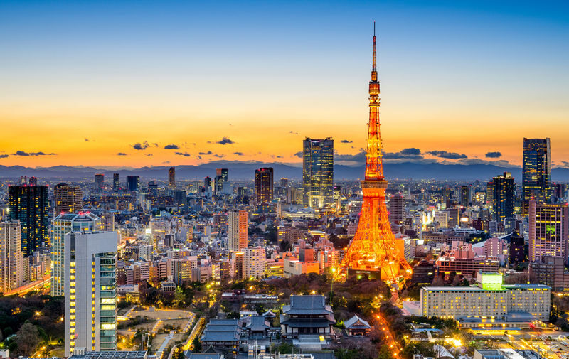 Tokyo City, Private and Customized City Exploration Walking Day Tour - Shinjuku Gyoen: a quieter pause