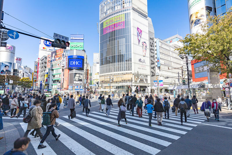 Tokyo City, Private and Customized City Exploration Walking Day Tour - Shibuya Crossing: Tokyo’s famous human tide