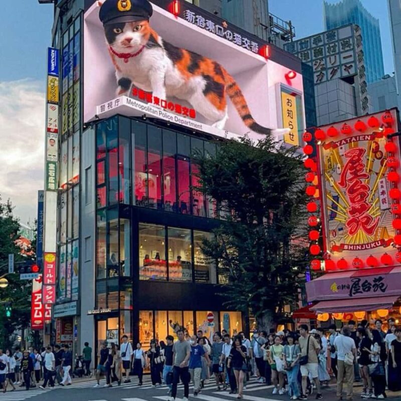 Tokyo City Private Catchy Tour With English Speaking Guide - Practical Considerations