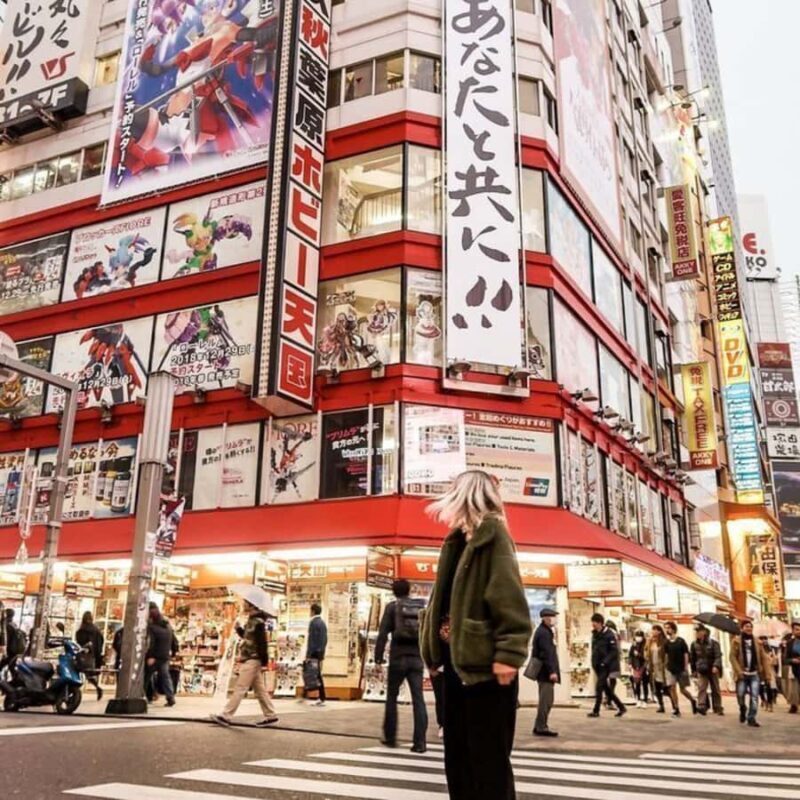 Tokyo City Private Catchy Tour With English Speaking Guide - The Experience in Practice: What You Can Expect