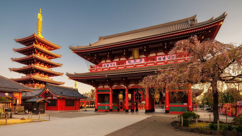 Tokyo City, Private Customized Day Trip with English-speaking Driver - A citywide route without the train changes