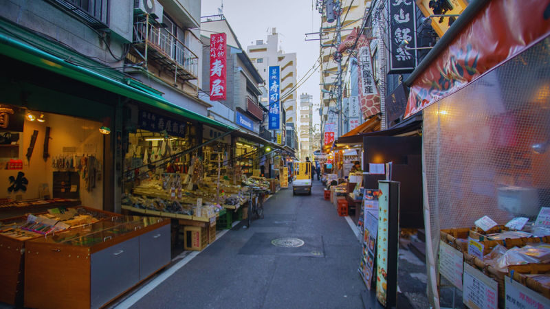 Tokyo City, Private Customized Day Trip with English-speaking Driver - Lunch and the choices beyond the printed route