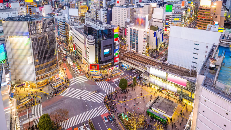 Tokyo City, Private Customized Day Trip with English-speaking Driver - Shibuya Crossing and Odaiba: a lively finish with a longer drive