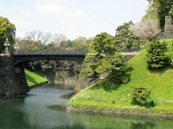 Tokyo: City Private Customized Trip With English Driver - Booking and Cancellation Policies