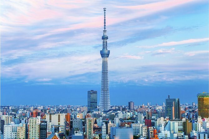 Tokyo City Private Full Day Tour With English Speaking Driver - Additional Information and Guarantees