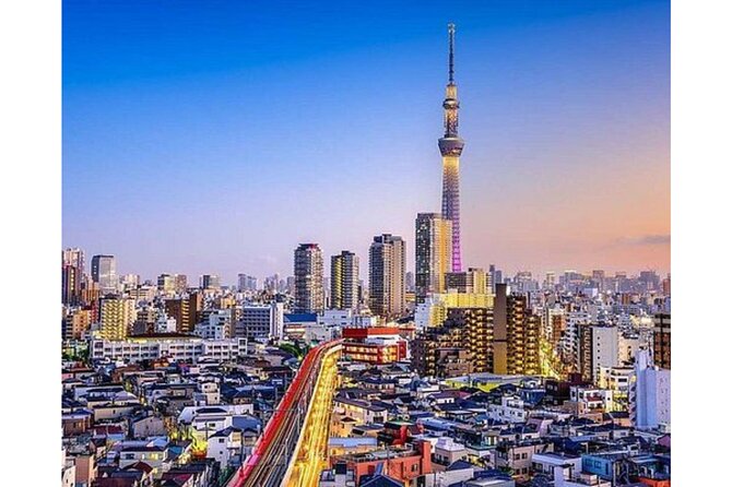 Tokyo City Private Full Day Tour With English Speaking Driver - Accessibility and Special Services Offered