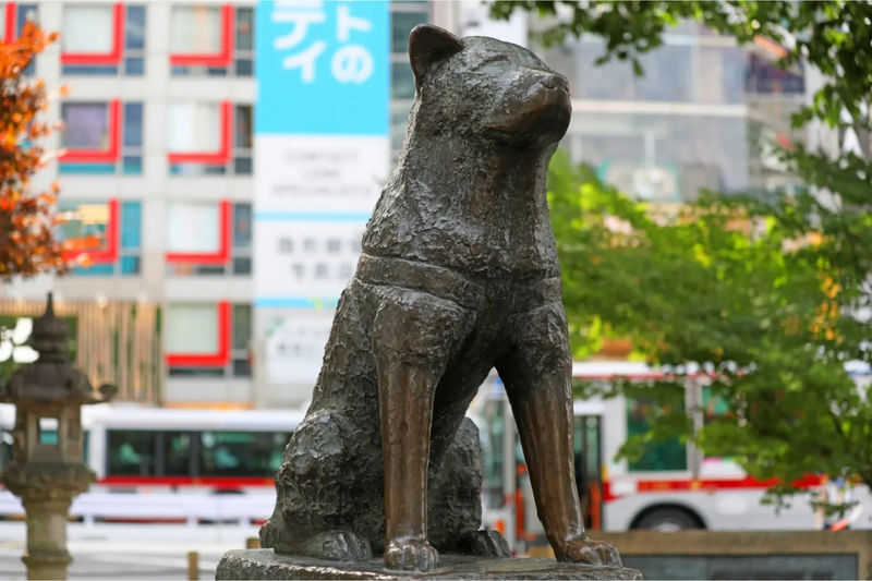 Tokyo City, Private One Day Tour with Hotel Pick up & Drop Off - Meiji Jingu closes the day on a quieter note