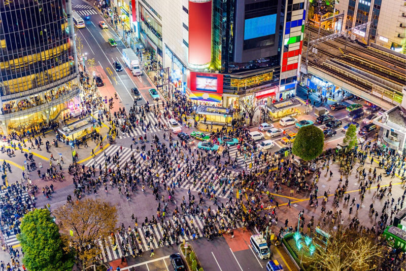 Tokyo City, Private One Day Tour with Hotel Pick up & Drop Off - Practical details before you reserve