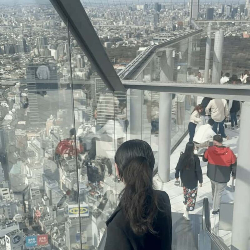 Tokyo City Private Tour Customizable Itinerary Top Places - Tokyo Tower: An Icon Revisited