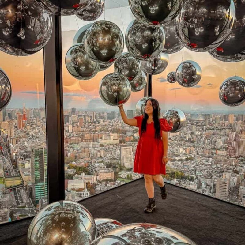 Tokyo City Private Tour Customizable Itinerary Top Places - Shibuya Crossing: The Pulse of Tokyo