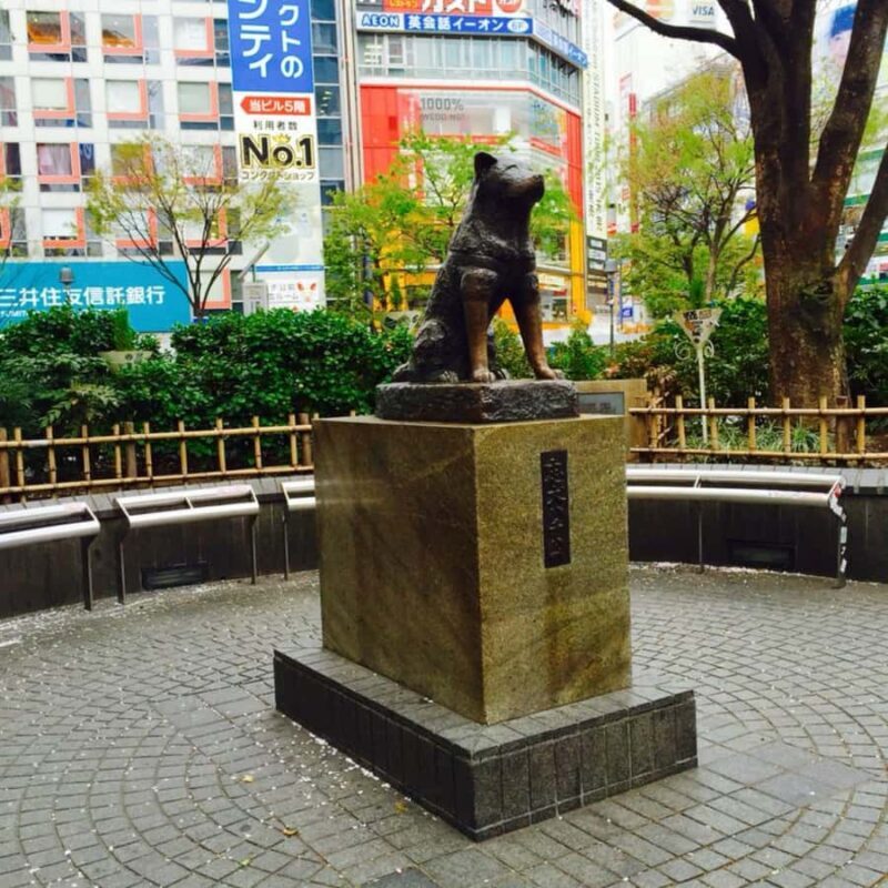 Tokyo City Private Tour Visit Skytree Senso-ji, Meiji Shrine - Final Thoughts