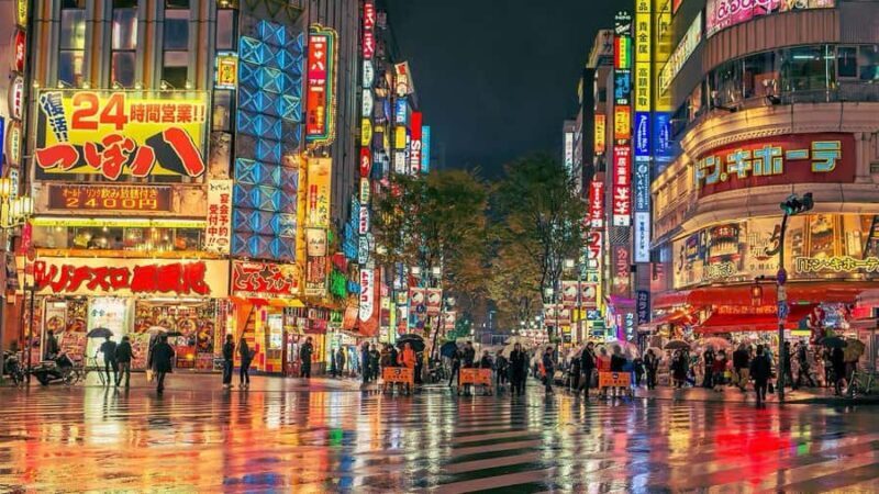 Tokyo City Private Tour with English Speaking Driver - Practical Details and Tips