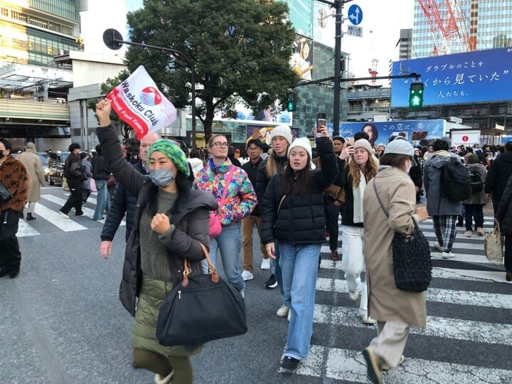Tokyo City, Shibuya Food and Culture Half Day Walking Tour - The guide, group size and value
