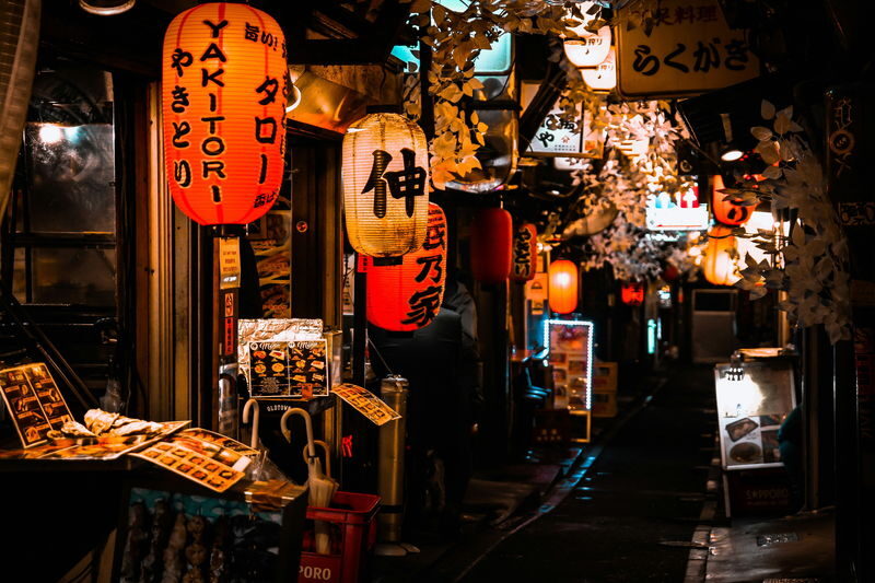 Tokyo City, Shinjuku Nightlife Walking Tour - Omoide Yokocho: tiny bars and close quarters