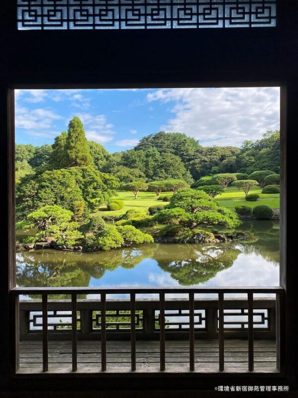 Tokyo City, Shinjuku & Shibuya One Day City Exploration Walking Tour - Taking a slower hour at Shinjuku Gyoen