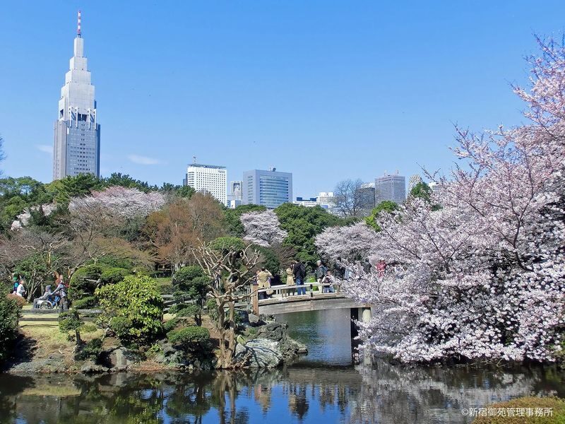 Tokyo City, Shinjuku & Shibuya One Day City Exploration Walking Tour - Finding Golden Gai and Kabukicho in daylight