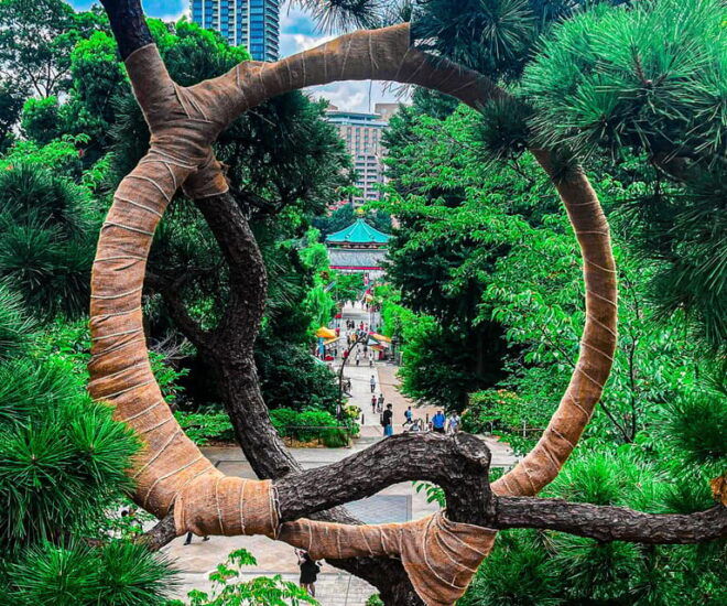 Tokyo: City Tour in Spanish a - Accessibility Features