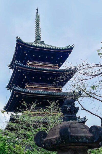 Tokyo: City Tour in Spanish a - Additional Tips for Travelers