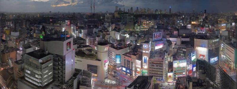 Tokyo City Tour With English Guide - Who Should Consider This Tour?