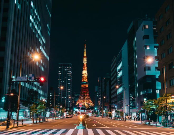 Tokyo City Tour (With English or Japanese Speaking Guide) - Guide and Accessibility