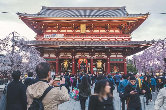Tokyo Custom Full Day Tour - Pricing and Guarantee