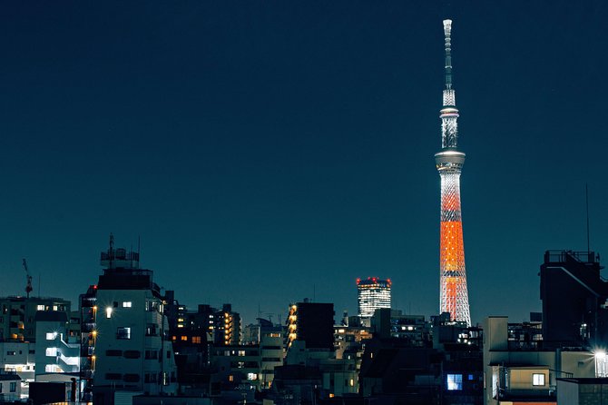 Tokyo Custom Full Day Tour - Overview of the Tour