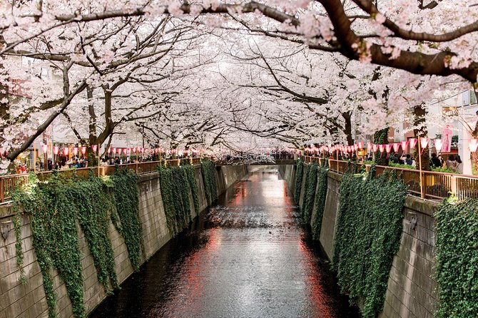 Tokyo Custom Full Day Tour - The Sum Up