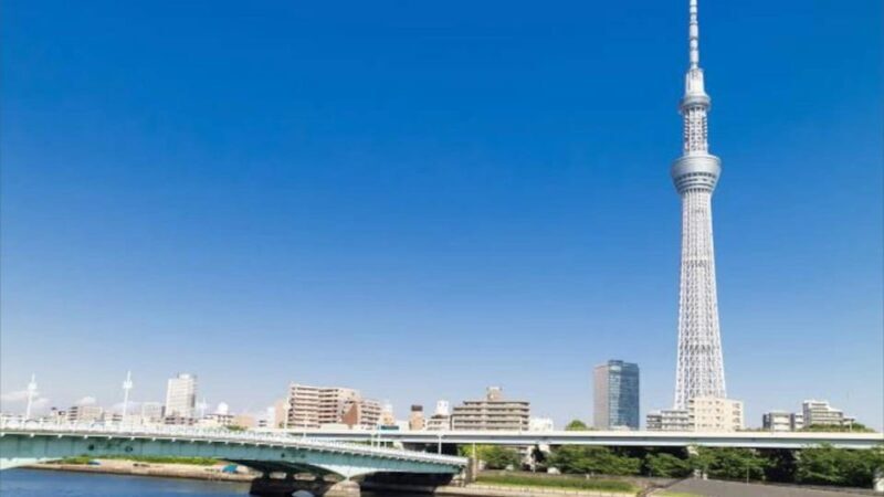 Tokyo: Customizable Private Guided Walking Tour - The practical side: price, duration, and what’s included