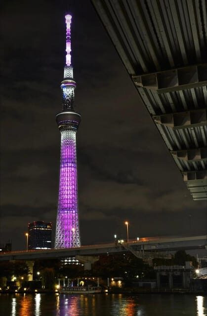 Tokyo Customizable Private Tour by Car & Van - Who Is This Tour Best For?