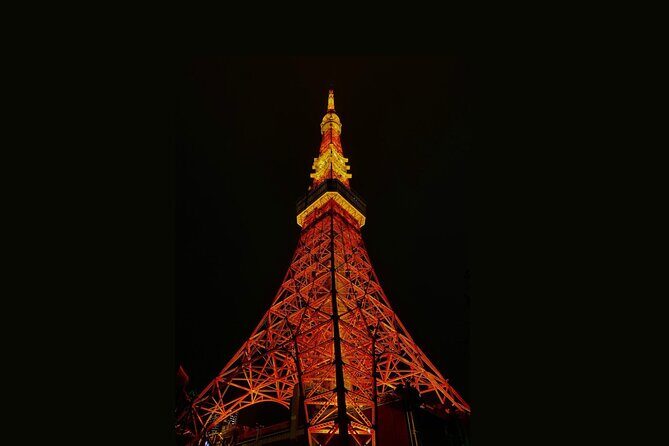 Tokyo Customizable Private Walking Tour with a Local Guide - Reviews and Real Experience Insights