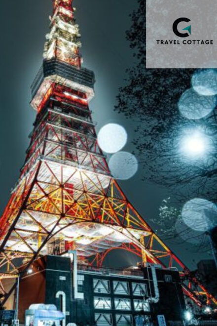 Tokyo Customize Private City Tour By English Speaking Driver - Amenities Included