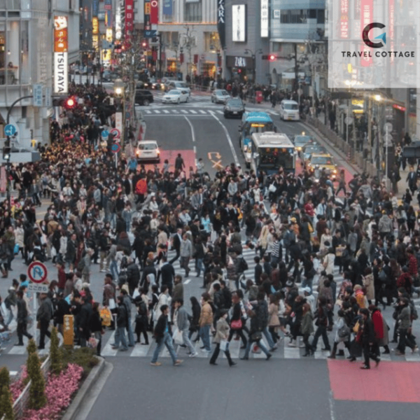 Tokyo Customize Private City Tour By English Speaking Driver - Important Information