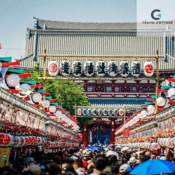 Tokyo Customize Private City Tour By English Speaking Driver - Booking Details