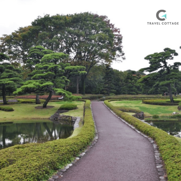 Tokyo Customize Private City Tour By English Speaking Driver - Contact Information