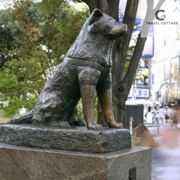 Tokyo Customize Private City Tour By English Speaking Driver - Frequently Asked Questions