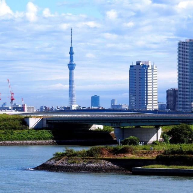 Tokyo Customize Private City Tour By English Speaking Driver - Booking Information
