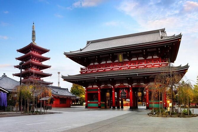Tokyo Customized City Tour With English Speaking Driver - Inclusions