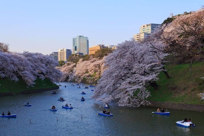 Tokyo Customized City Tour With English Speaking Driver - Additional Information