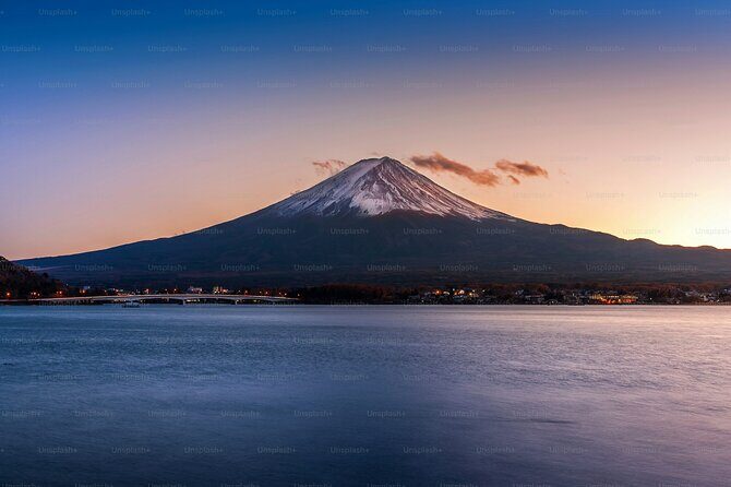 Tokyo: Customized Mt. Fuji & Hakone Sightseeing Private Day Trip - Why Consider This Tour?