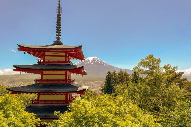 Tokyo: Customized Mt. Fuji & Hakone Sightseeing Private Day Trip - Practical Aspects: Timing, Group Size, and Costs