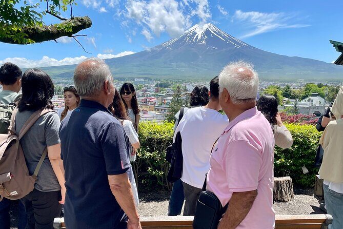 Tokyo: Customized Mt. Fuji & Hakone Sightseeing Private Day Trip - FAQs