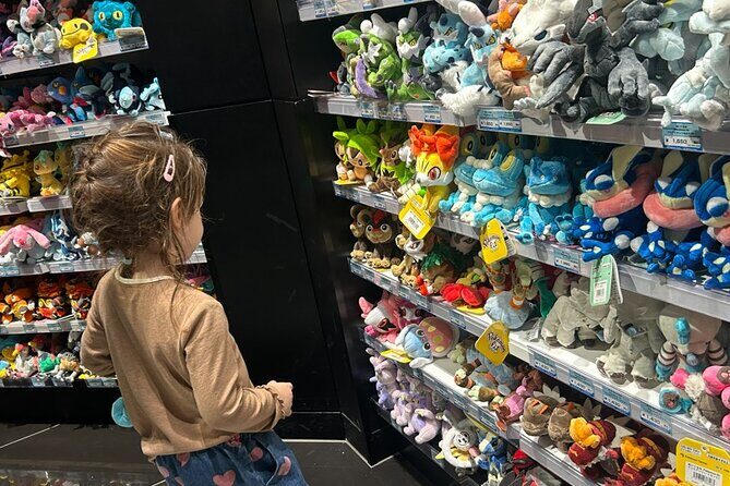 Tokyo Customized Private Tour  Explore Your Way in 1 Day - Who Should Consider This Tour?