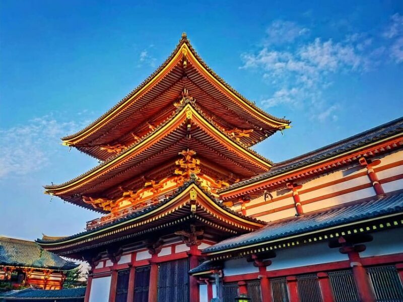 Tokyo: Customized Private Tour with a Local Guide - Good To Know