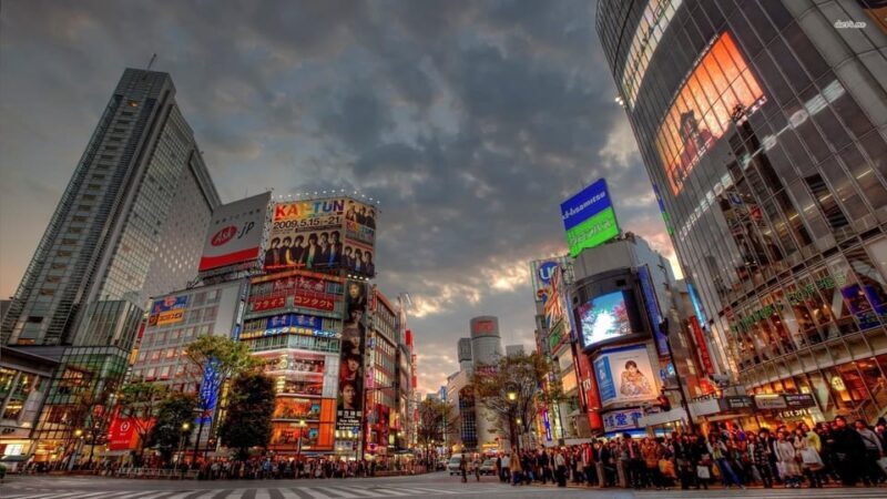 Tokyo: Customized Private Tour with a Local Guide - Why Choose a Private, Customized Tokyo Tour?