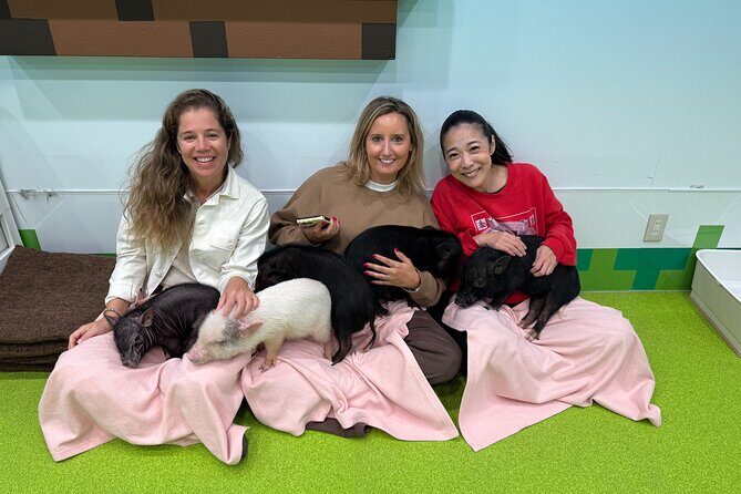 Tokyo: Customized Private Walking Tour with Hitomy _5hrs - The Practicalities: What to Expect