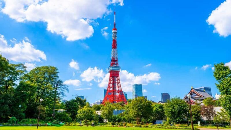 Tokyo Daikoku JDM Car Meet Tour with Private Driver-Guide - The Sum Up